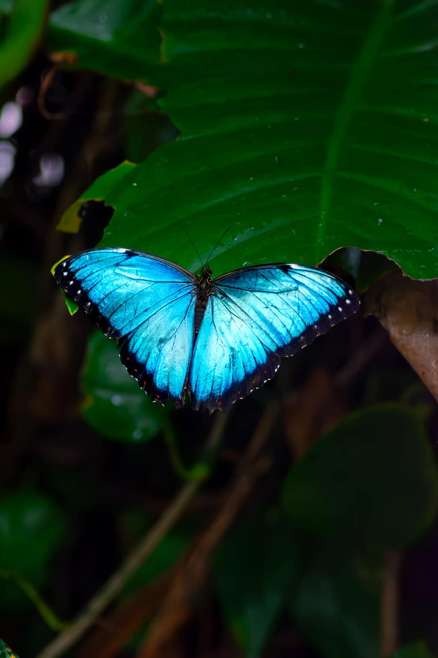 Photograph by Cameron Schindler