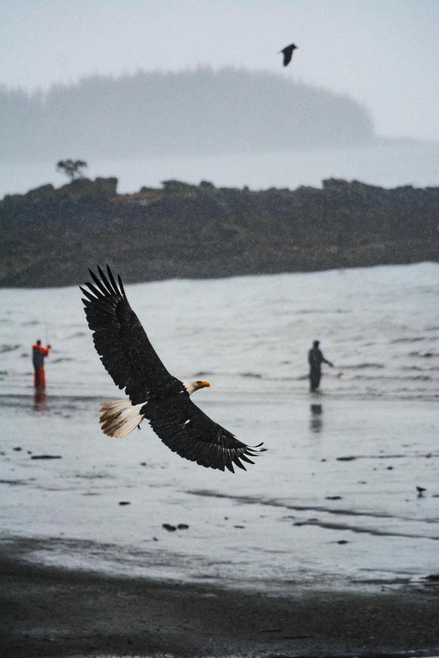 Photograph by Cameron Schindler
