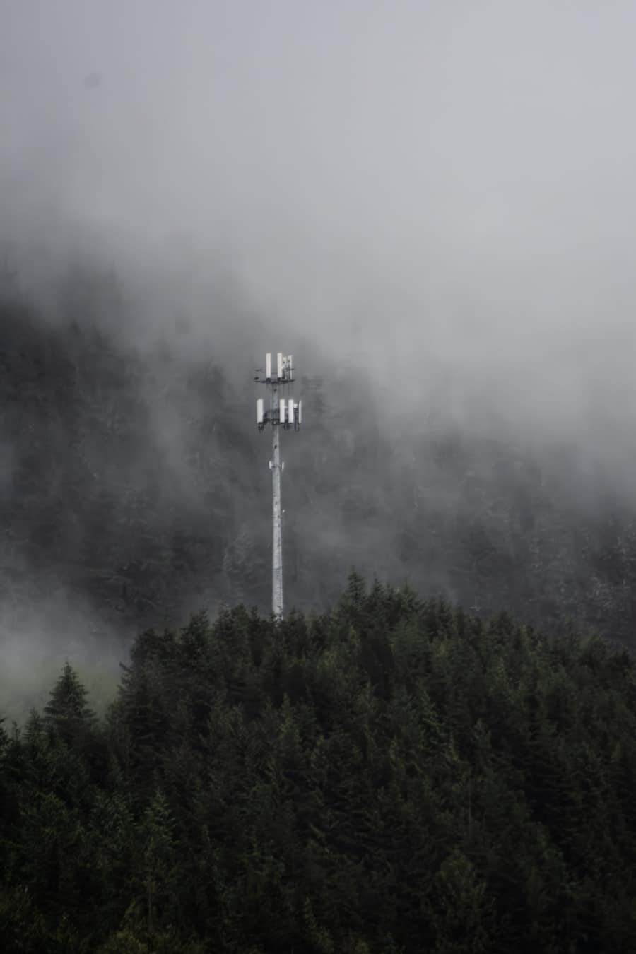 Photograph by Cameron Schindler