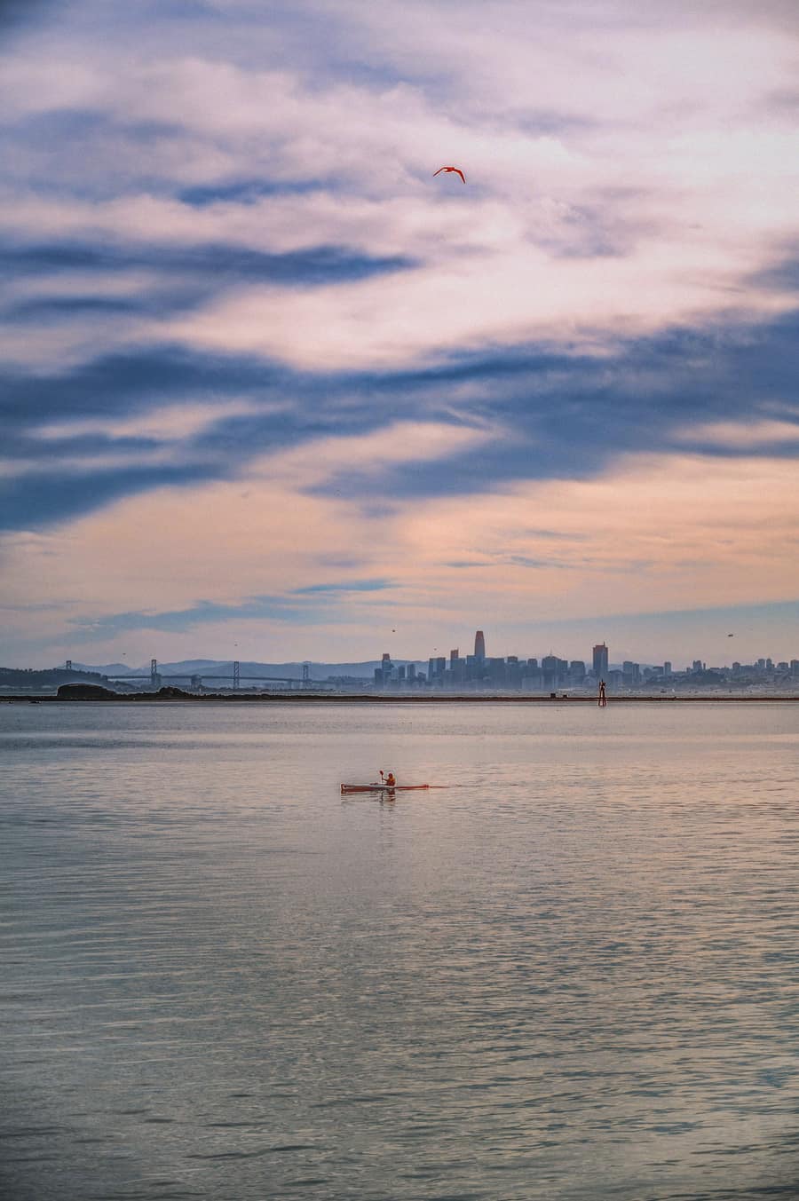 Photograph by Cameron Schindler