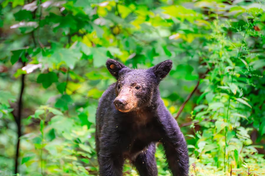 Photograph by Cameron Schindler